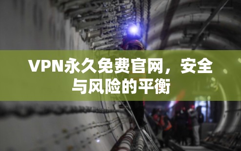 VPN永久免费官网，安全与风险的平衡