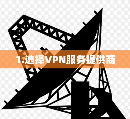 1.选择VPN服务提供商