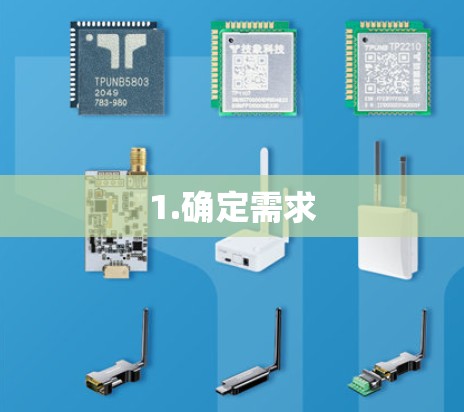 1.确定需求