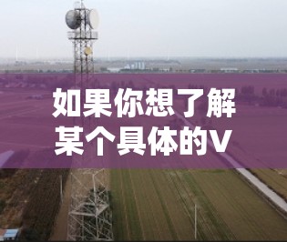 如果你想了解某个具体的VPN多端版服务，需要明确具体的VPN服务提供商和版本。以下是一些常见的VPN服务提供商，他们可能提供多端连接功能