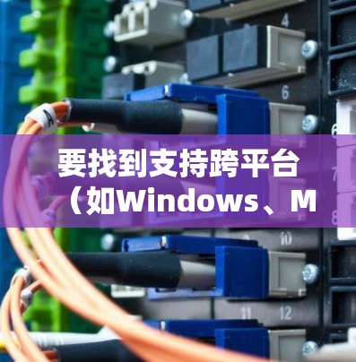 要找到支持跨平台（如Windows、Mac、iOS和Android）的VPN下载入口，可以按照以下步骤操作