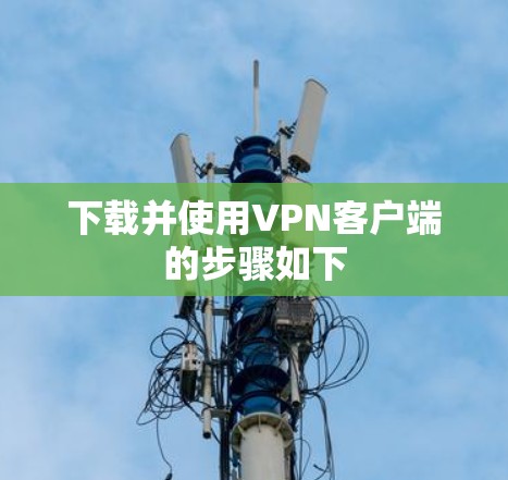 下载并使用VPN客户端的步骤如下