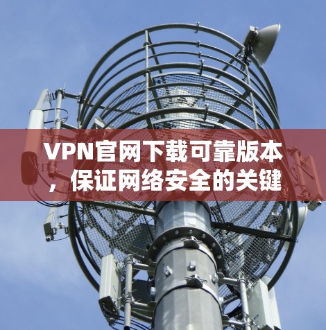 VPN官网下载可靠版本，保证网络安全的关键