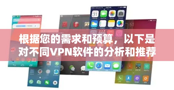 根据您的需求和预算，以下是对不同VPN软件的分析和推荐