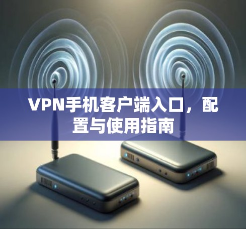 VPN手机客户端入口，配置与使用指南