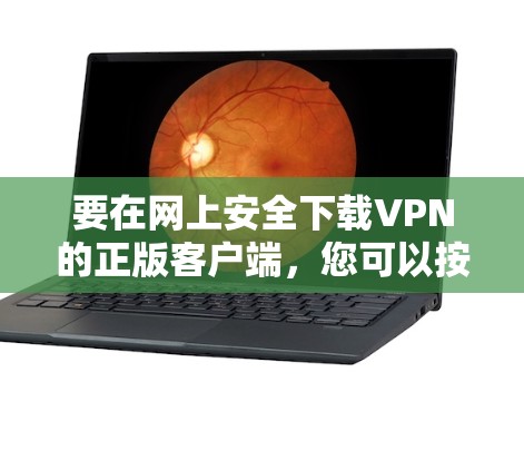 要在网上安全下载VPN的正版客户端，您可以按照以下步骤操作