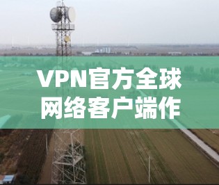 VPN官方全球网络客户端作为提供商自行开发的软件，旨在为用户提供安全、稳定和高效的网络连接体验。以下是关于这些客户端的详细分析和使用指南