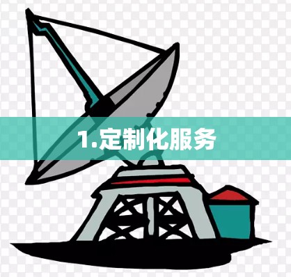 1.定制化服务