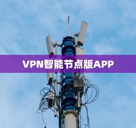 VPN智能节点版APP VPN智能节点版APP