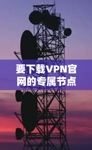 要下载VPN官网的专属节点，通常需要按照以下步骤进行