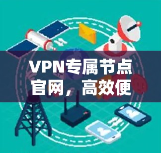 VPN专属节点官网，高效便捷的网络管理解决方案