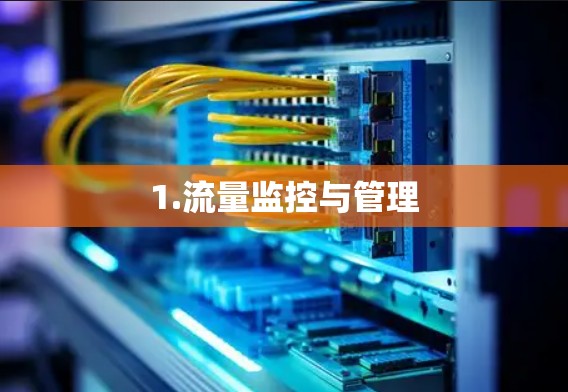 1.流量监控与管理