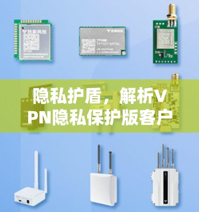 隐私护盾，解析VPN隐私保护版客户端的核心技术