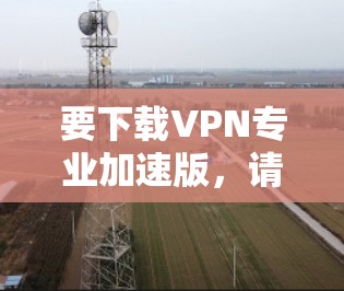 要下载VPN专业加速版，请按照以下步骤操作